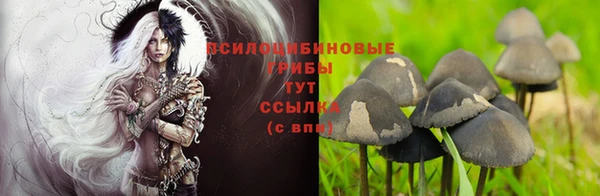 трава Алексин