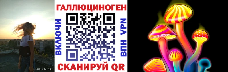 сколько стоит  Бийск  Псилоцибиновые грибы мицелий 
